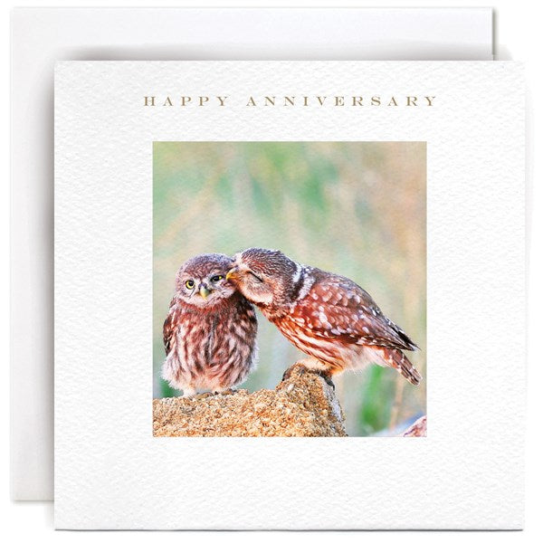 Happy Anniversary by Susan O Hanlon
