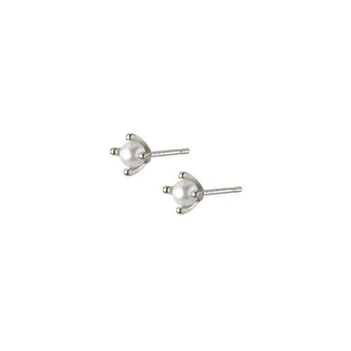 Danni Earrings Sterling Silver