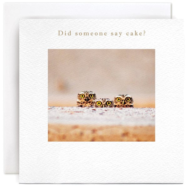 Did someone day cake? by Susan O Hanlon