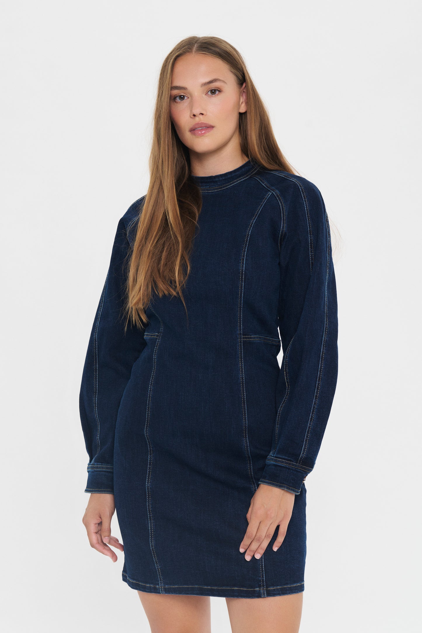 Randell denim dress
