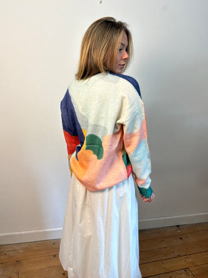 Multi colour jumper