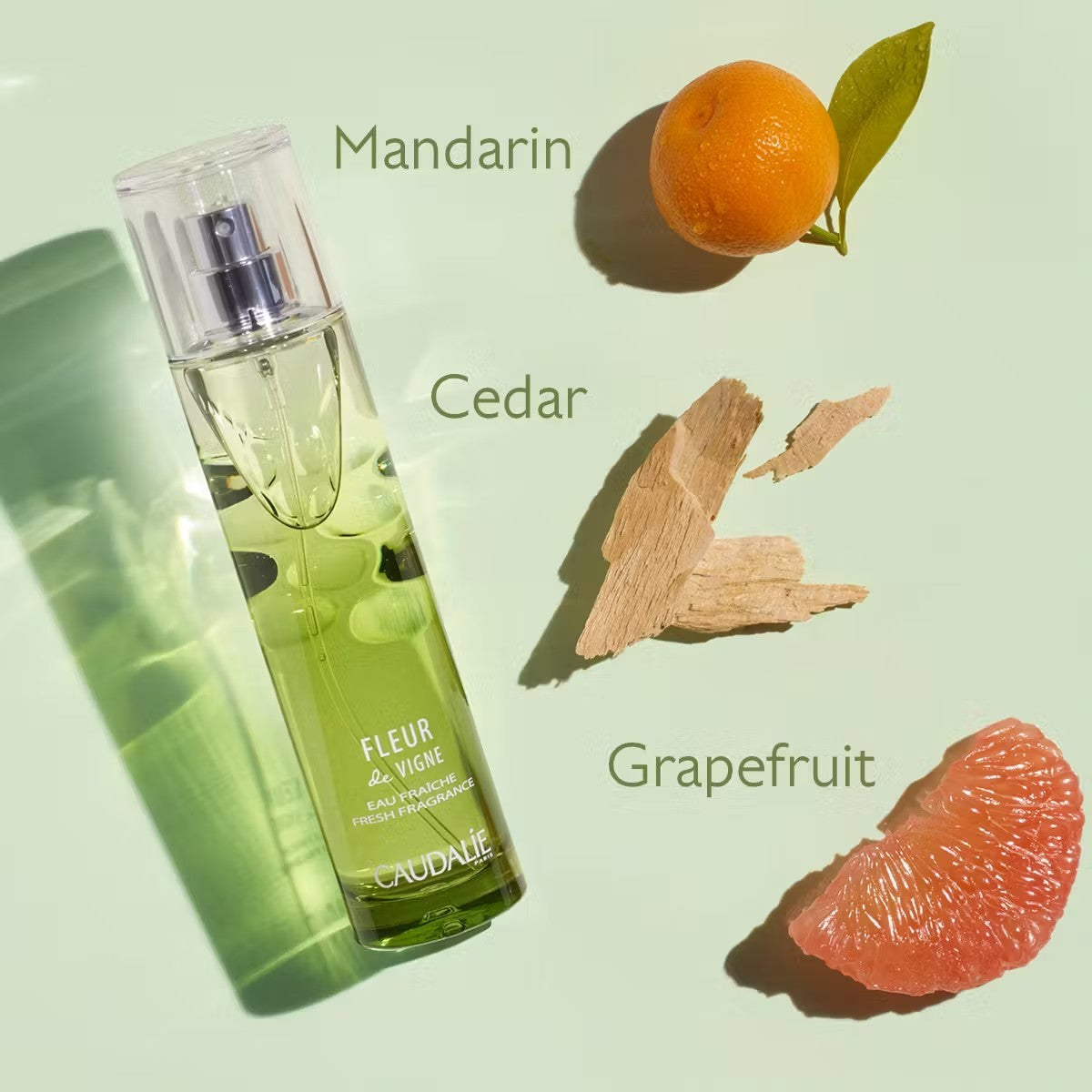 Fleur de Vigne Fresh Fragrance 50ml by Caudalie