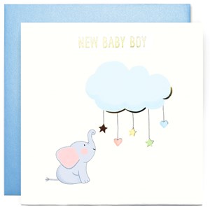 New Baby Boy by Susan O Hanlon