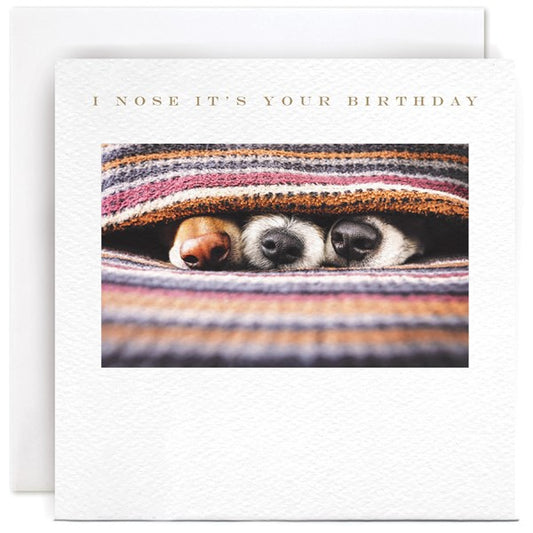 I Nose Its Your Birthday by Susan O Hanlon