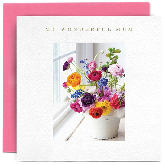 Wonderful Mum by Susan O Hanlon